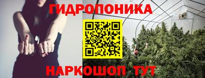 эйфоретик Лесосибирск