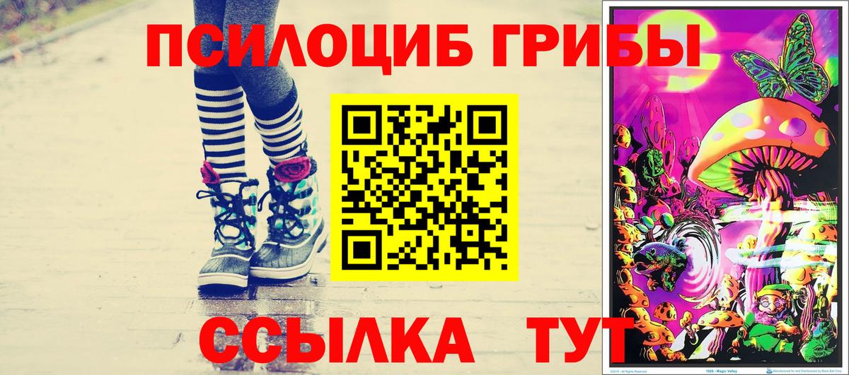 Галлюциногенные грибы мухоморы Чебаркуль